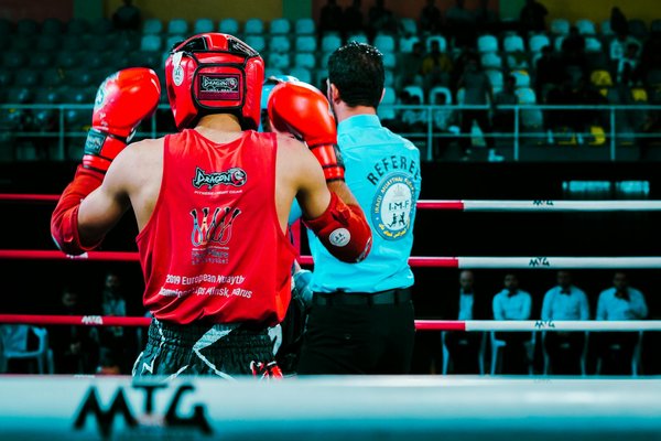 Le dojo dans la pop-culture : de Bruce Lee à Matrix